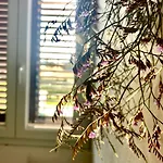 Casa La Gufetta 別荘 カラベルナルド