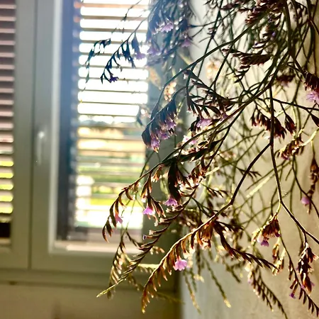 Casa La Gufetta 別荘 カラベルナルド